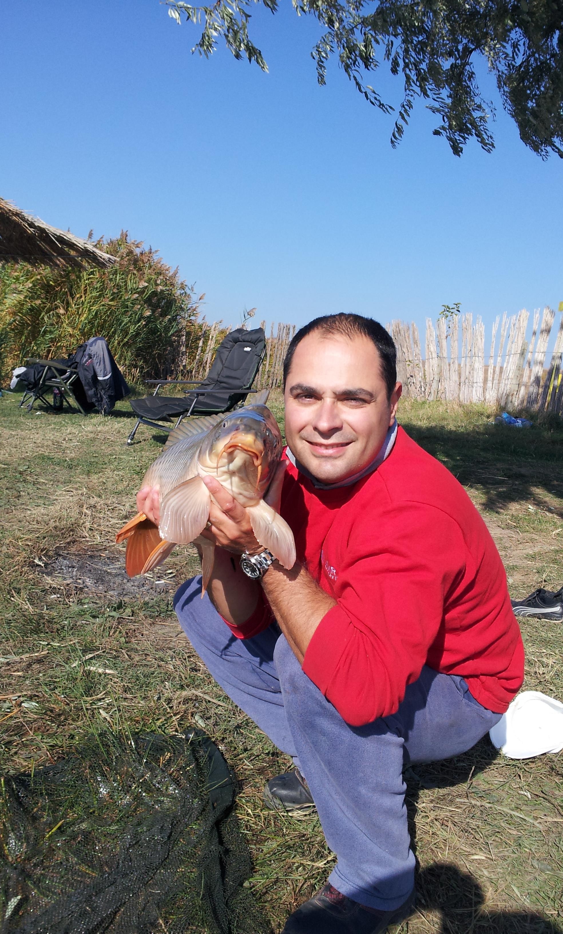 Stolnici - Romanesc 6.5 kg